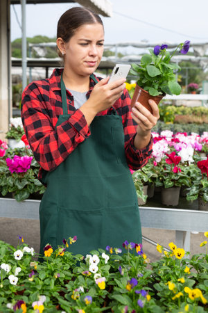 Concerned female gardener in uniform taking photo of flower name on phone in greenhouseの写真素材