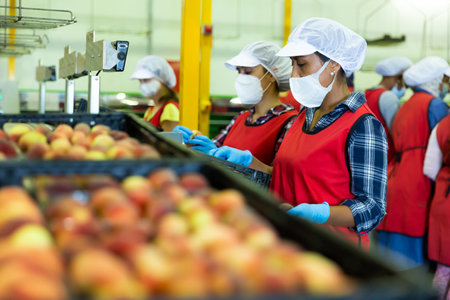 Women in masks sorting fruits at storageの写真素材