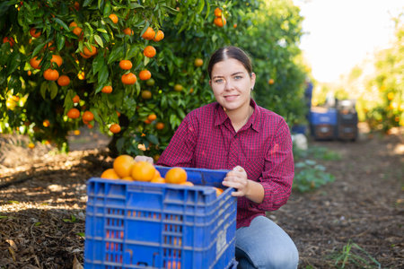 Portrait of a farmer girl picking tangerinesの写真素材