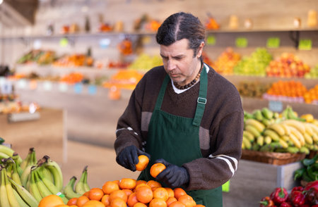 Adult man seller puts tangerines on displayの写真素材