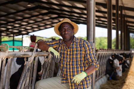 African American cow breeder standing in outdoor cowshedの写真素材