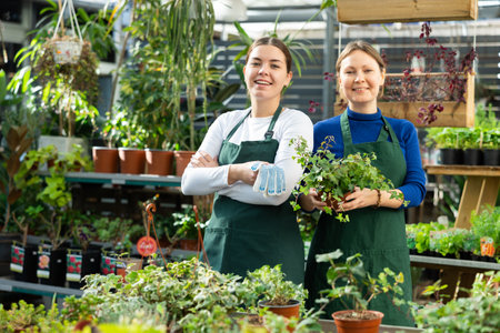 Adult woman and young woman posing in flower shopの写真素材