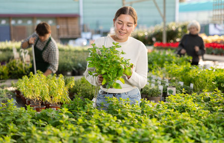 Young woman buy potted Spearmint plant in shopの写真素材