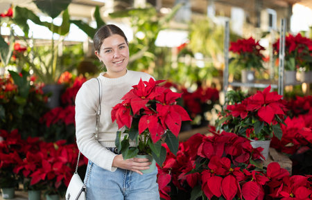 Young woman buy potted flowering poinsettia plant in shopの写真素材