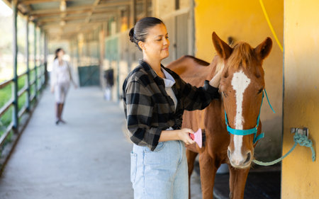 Young woman combing horse maneの写真素材