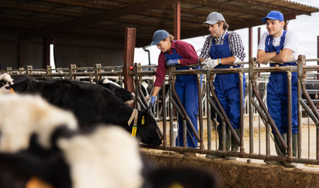 Man woman and boy farmers posing at dairy farm