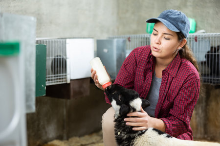 Farm worker feeding sheep milk at livestock farm