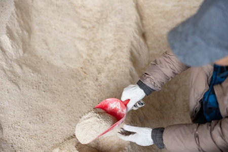 Female farmer digging heap of corn flourの写真素材
