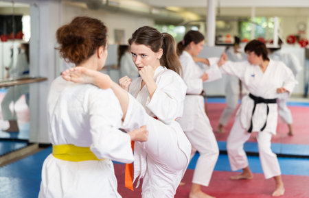 Women pupils train to perform defensive karate installations and attacking combat techniquesの写真素材