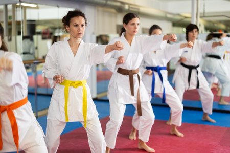 Group of womens practicing martial arts in gym. Active lifestyle and self defense conceptの写真素材