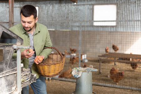 Young bearded farmer collecting eggs in chicken coopの写真素材
