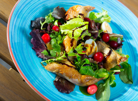 Salad of quail with greens, cranberries and honey-ginger sauceの写真素材