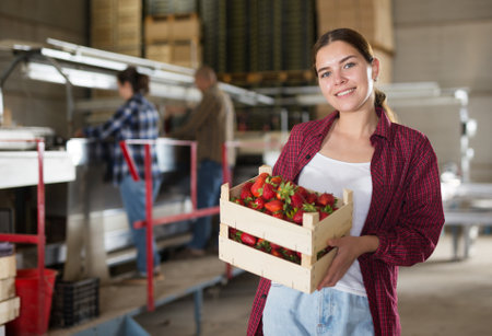 Young female worker showing harvested strawberries in farm warehouseの写真素材