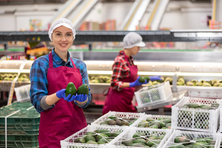Satisfied female employee inspecting quality of avocados in boxesの写真素材