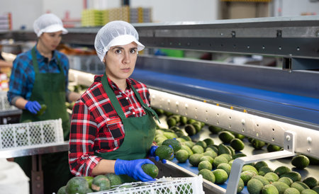 Skilled female employee in uniform inspecting quality of avocado in box at sorting factory