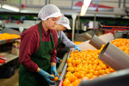 Young female sorter working on mandarins sorting line