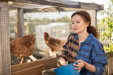 Adult woman feeding chickens in henhouseの写真素材