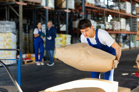 Young man puts bulky paper sack of dry construction mix on trolley.の写真素材