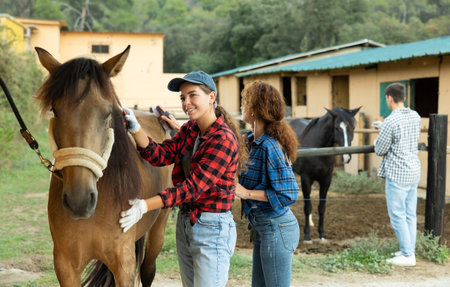 Two female workers in plaid shirt combs tethered horse in stable.の写真素材