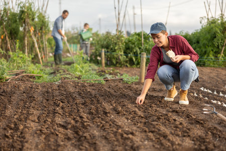 Female farmer planting seeds in the gardenの写真素材