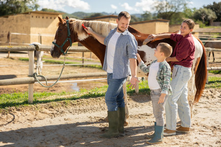 Young man and young woman combing horseの写真素材