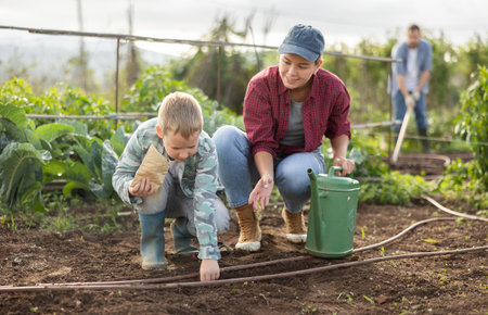 Woman and son planting seeds on farmの写真素材