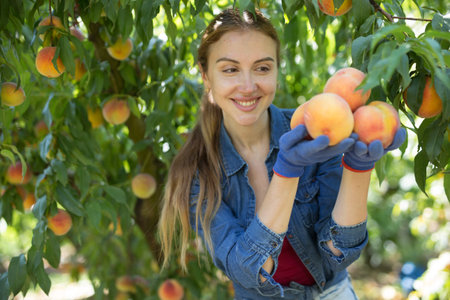 Portrait of happy female owner orchard with peaches in handsの写真素材