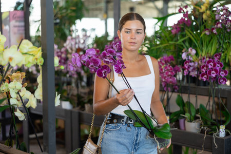 Happy smiling girl choosing orchids in floral shopの写真素材