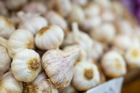 Garlic in a crate for sale in a storeの写真素材
