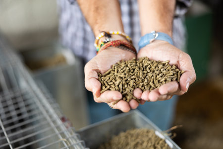 Closeup image of hands holding pet foodの写真素材