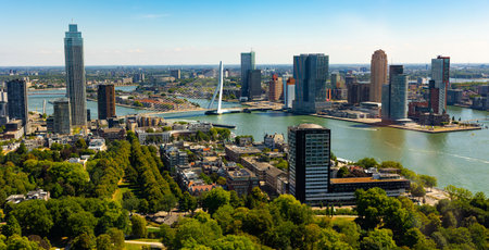 Summer Rotterdam cityscape with modern high-rise buildings and Erasmus bridgeの写真素材