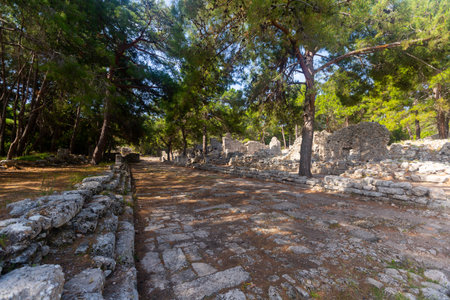 Colonnaded ancient street in Phaselis, Antalya Province, Turkeyの写真素材