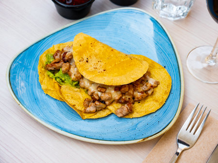 Mexican tacos of tortillas with roasted chickenの写真素材
