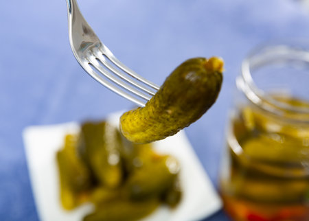 Pickled cucumber impaled with forkの写真素材