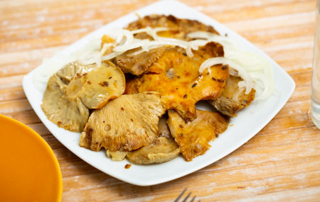 Appetizing pickled milk mushrooms with onionの写真素材