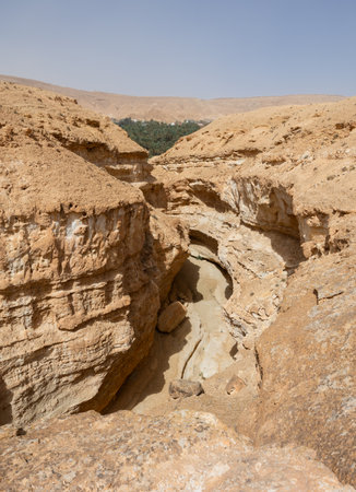 Canyon near Mides Oasis in Tamgahza, near Tozeur in Tunisiaの写真素材