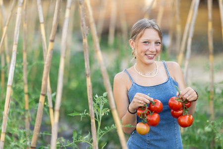 Young woman with tomato harvest in cottage gardenの写真素材