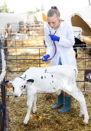 Girl veterinarian with stethoscope examines calf
