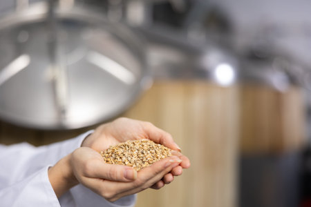 Barley in female palms close-up against the background of brewery
