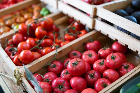 Bunch of red tomatoes in boxesの写真素材