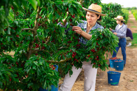 Asian woman working at the farm