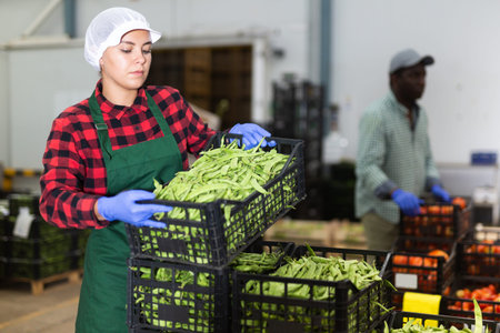 Young woman puts crates of peas pods on top of each other