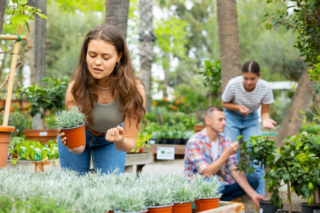 Female shopper choosing potted Helichrysum tianschanicum at garden centerの写真素材