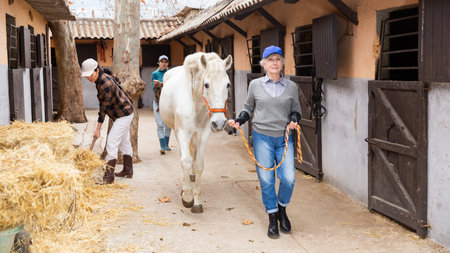 Women ranchers preparing white horse for rideの写真素材