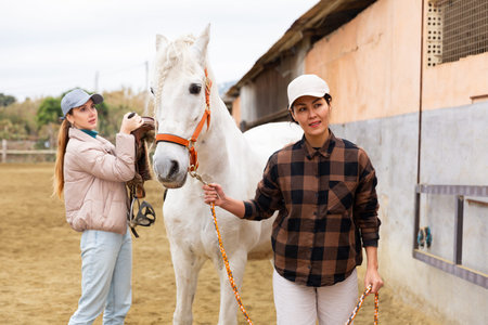 Women horsebreeders equipping horseの写真素材