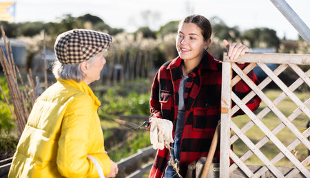 Two female gardeners talking near wooden fence in gardenの写真素材