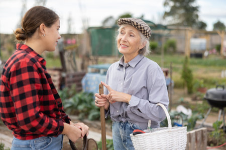 Two cheerful young and old female neighbors standing with busket and talking while digging garden on sunny day of autumnの写真素材