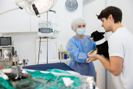 Female veterinarian handing over miniature pinscher to owner after surgeryの写真素材