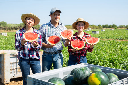 Smiling workers holding slices of watermelonsの写真素材