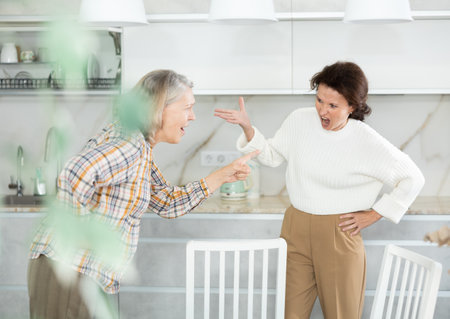 Middle-aged women quarreling in the kitchenの写真素材